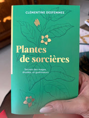 Le guide complet des plantes de Sorcières