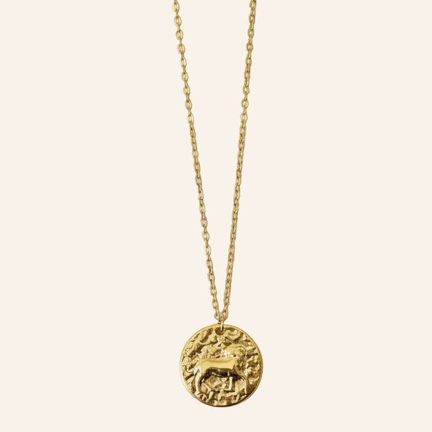 Collier Signe Astrologique en acier inoxydable doré – Réglable