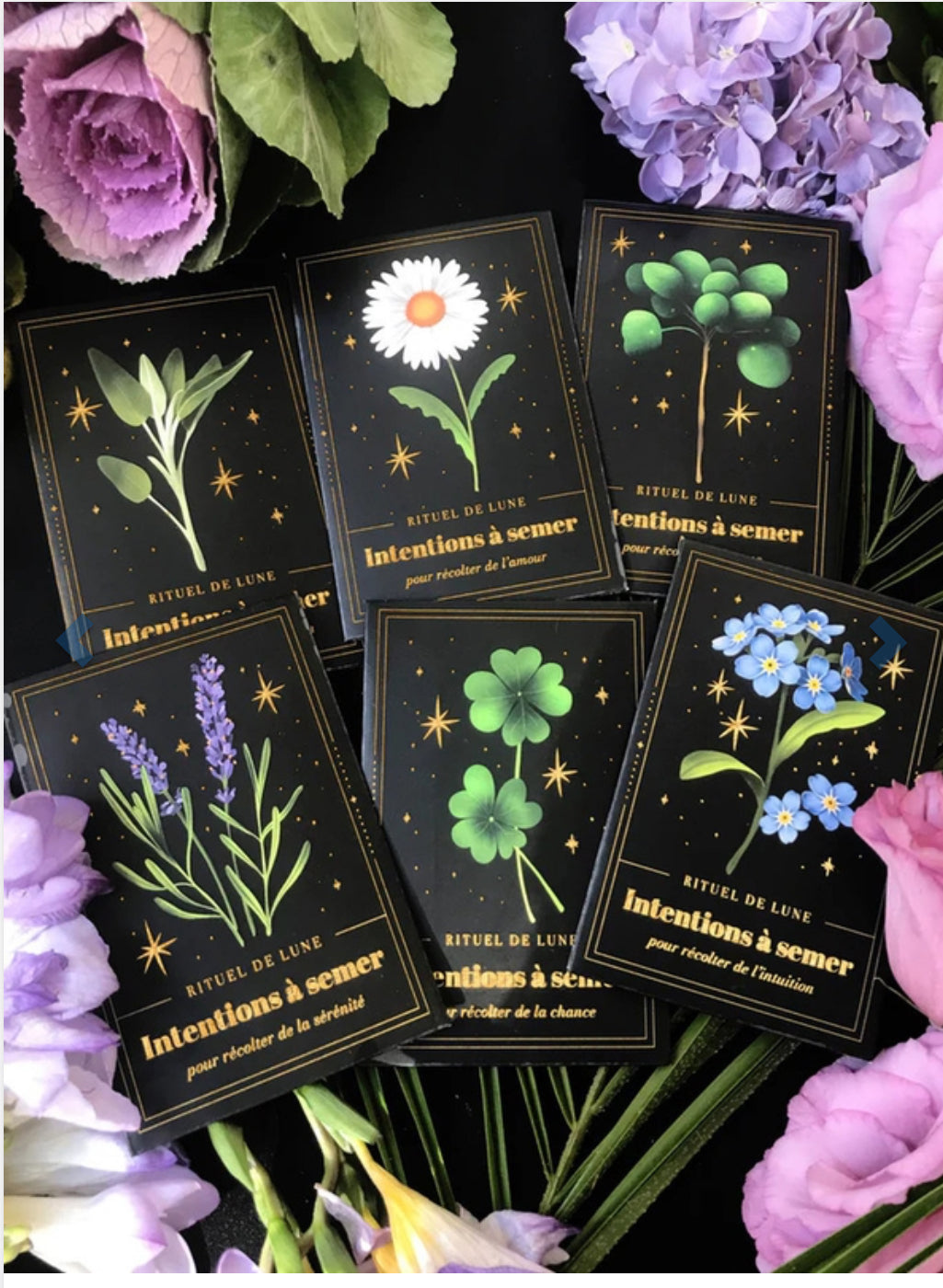 Intentions à semer