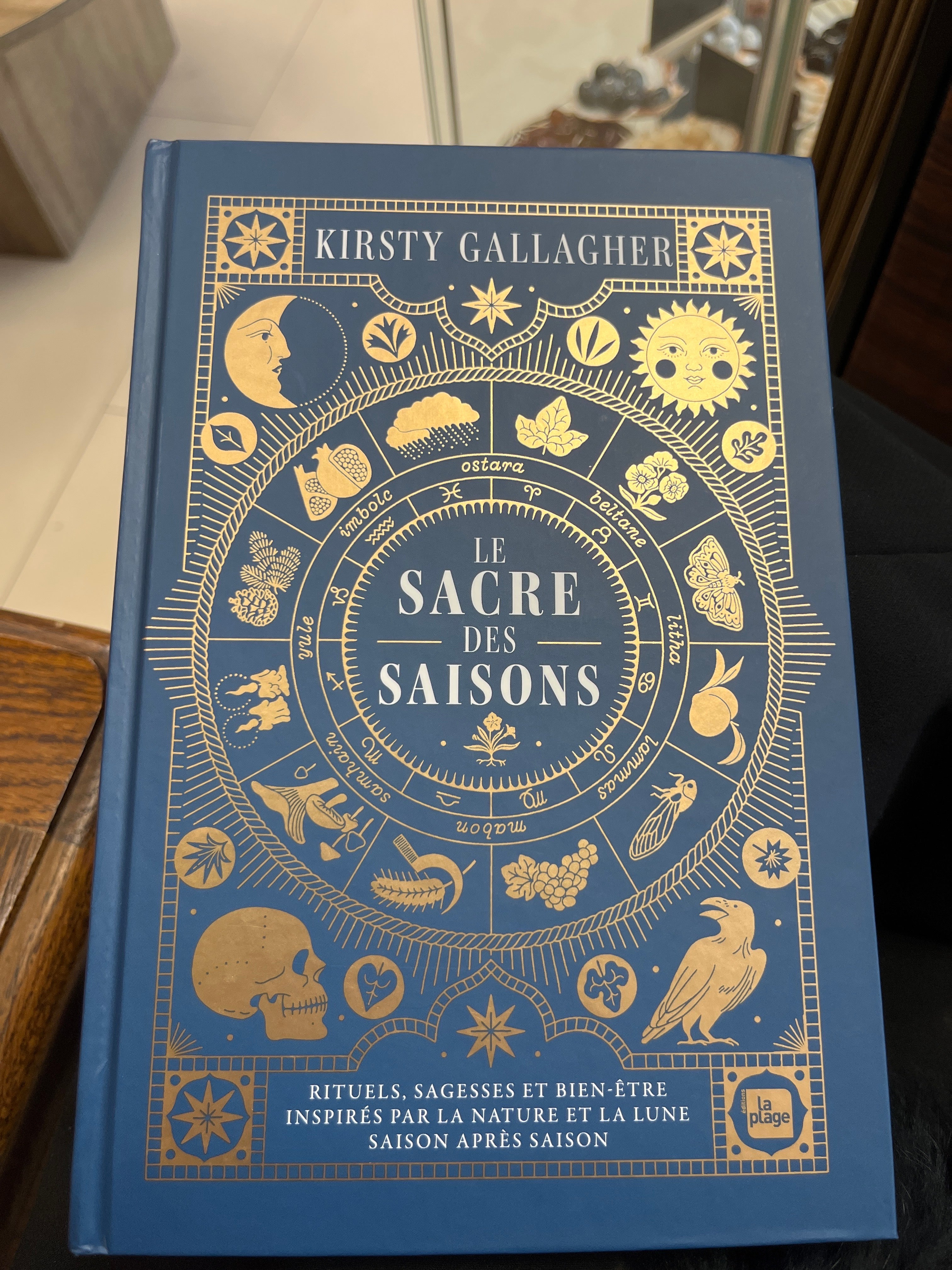 Reconnexion aux Cycles Féminins – Comprendre & Honorer son Corps